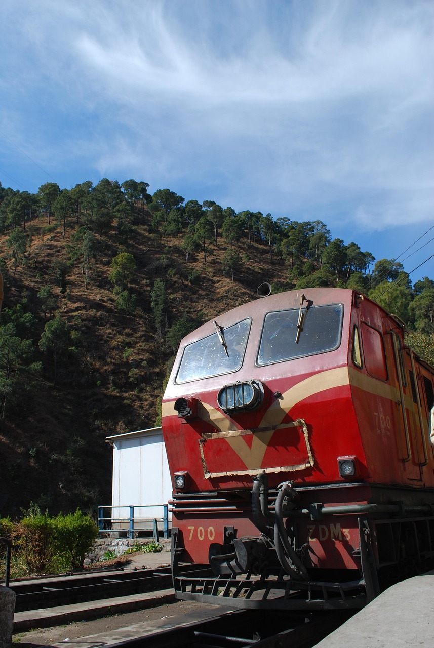 shimla couple tour from chandigarh