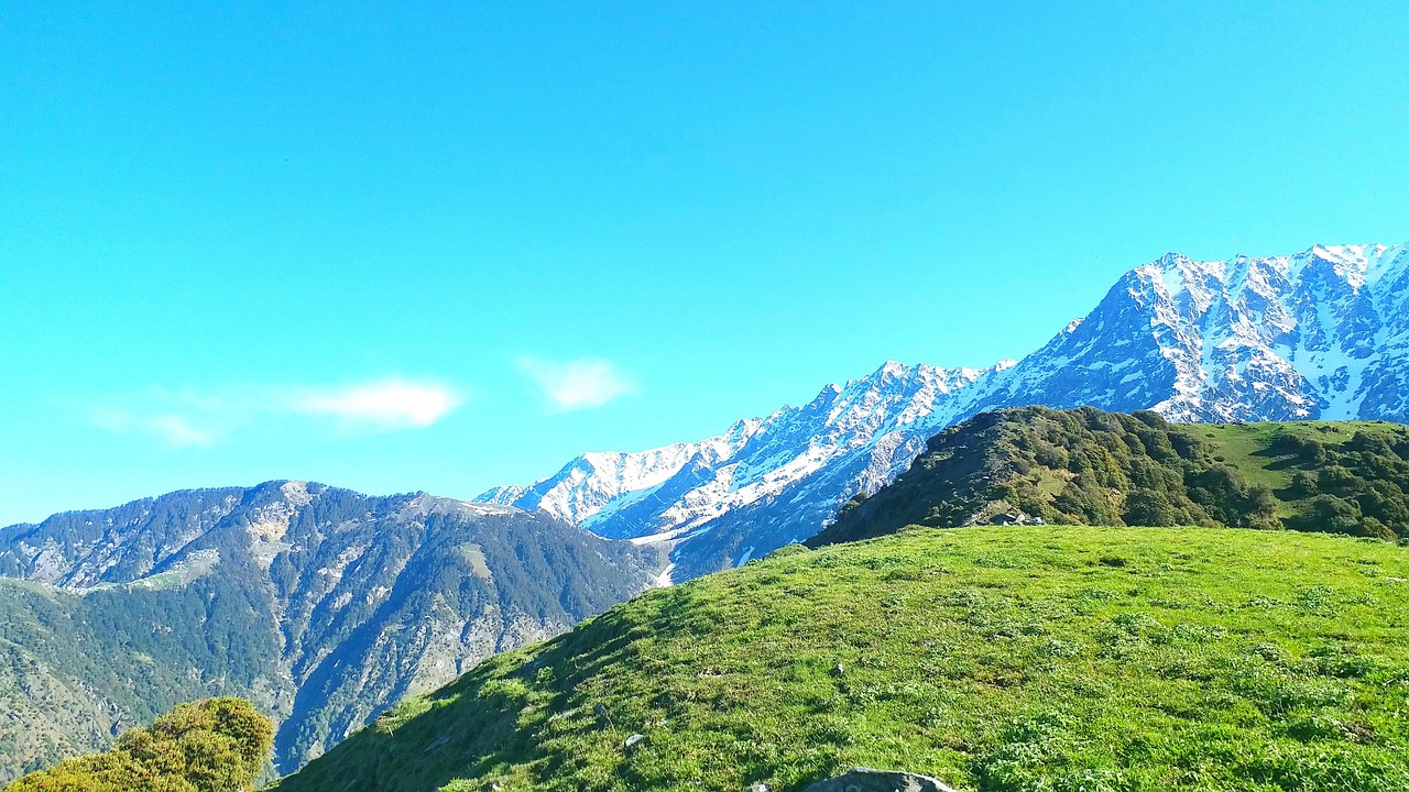 shimla couple tour from chandigarh