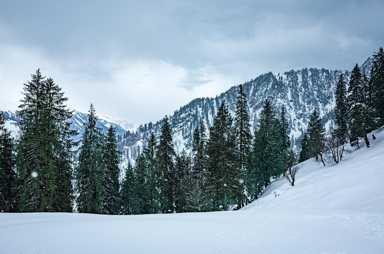 shimla couple tour from chandigarh