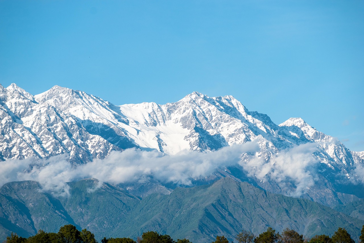 shimla couple tour from chandigarh