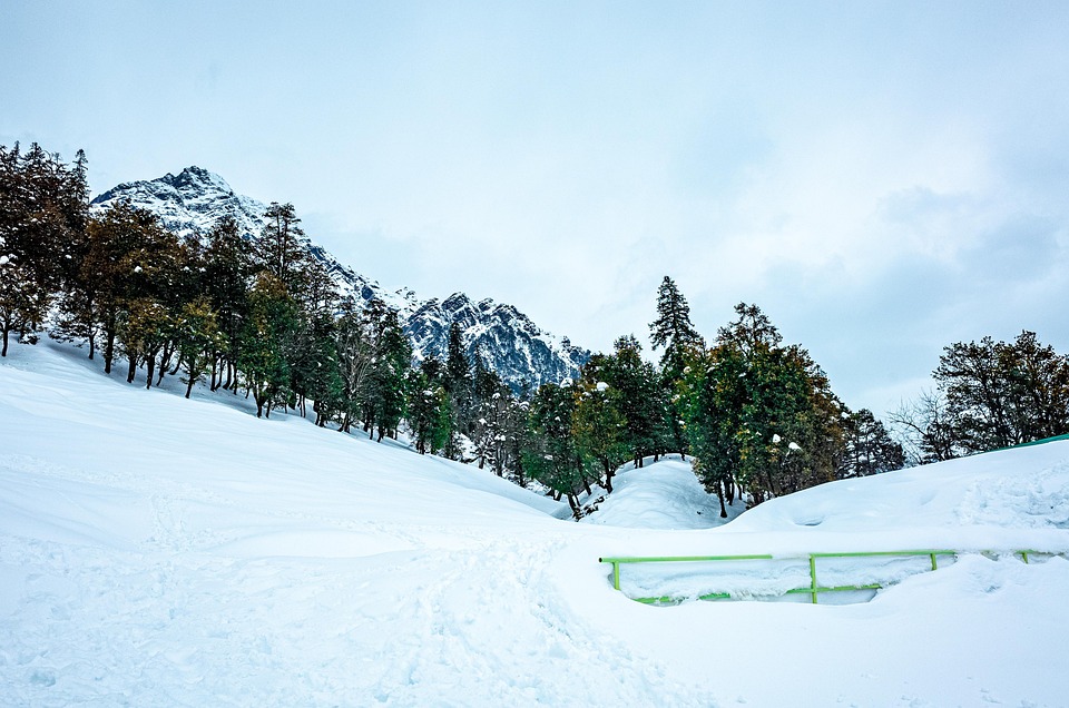 shimla couple tour from chandigarh