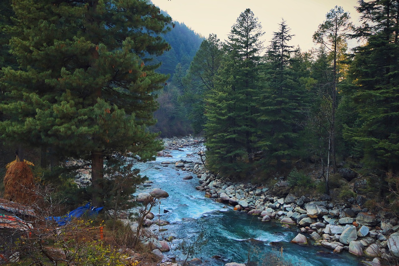 shimla couple tour from chandigarh